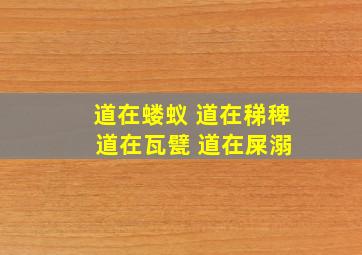 道在蝼蚁 道在稊稗 道在瓦甓 道在屎溺